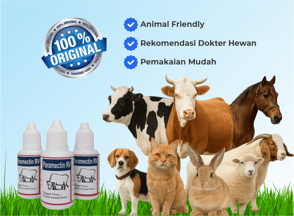 Paramectin RV: Pilihan Profesional untuk Klinik Hewan dan Breeder Ternama